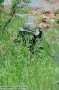 Obrázek_2
