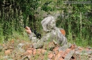 Obrázek_45